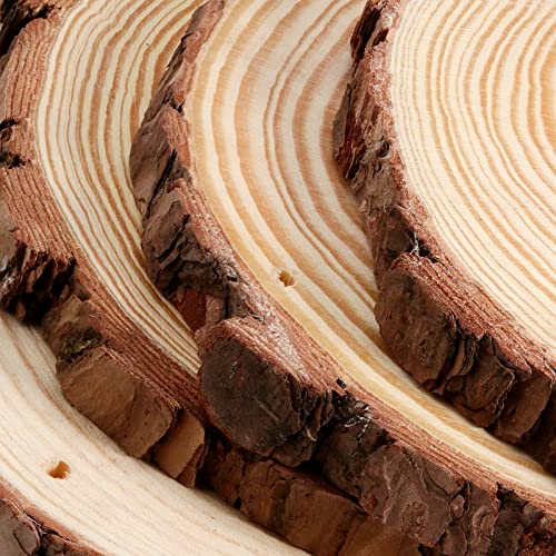 JEUIHAU 10 PCS 6.7-7 Inches Natural Wood Slices with Holes, Unfinished Predrilled Wooden Circles Tree Bark Slice, Blank Wooden Log Circles for DIY Crafts, Arts Wood Slices, Christmas Ornaments - size: 10 PCS 6.7-7 In with Holes
