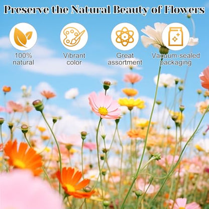 318 PCS Pressed Flowers Butterfly Stickers for Craft, Real Dried Pressed Flowers Bulk Natural Dry Flowers Floral with DIY Butterfly Stickers Tweezers for Art, Resin Mold, Candles, Soap, Jewelry Making - color: 318 Pcs Pressed Flowers Butterfly Stickers