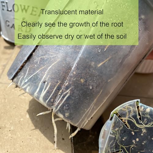 Clear Nursery pots with Drainage 5/6/7/8/9 inch 10 Pack | for Indoor&Outdoor Plant,monstera pots with saucers,monitor soil moisture and root health,semi-clear plastic(PP) material - size: 5/6/7/8/9inch with saucers
