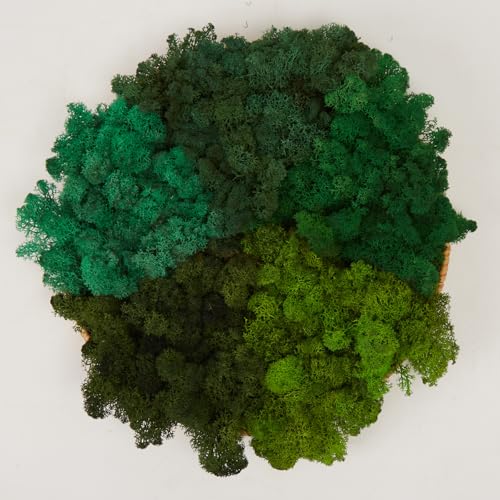 Preserved Reindeer Moss Natural Green DIY Kit Gardenning Art Wall Decor Florist Decor Easter Table Decor Wedding - color: Style-8, size: 1 lb