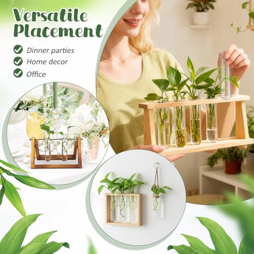 UKCOCO 5Pcs Glass Test Tube Vases 4.33 Inch Clear Propagation Tubes for Plant Cuttings Hydroponic Plant Holders Desktop Floral Arrangement for Home Office Decor