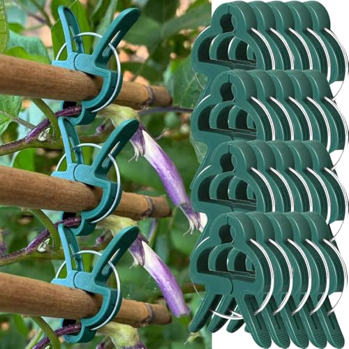 20PCS Garden Clips for Climbing Plants Adjustable Plant Stem Clip,S | Adjustable Plastic Garden Stakes Plants Climbing Quick Fastening Stake Fixed Holding Flower Vines Vegetable Clips,3*4.5cm - color: Small,3*4.5cm