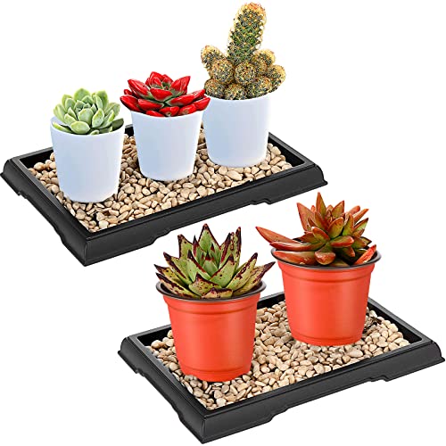 Pinkunn 2 Pcs Bonsai Humidity Tray for Indoor Plants,7.8 X 5.5 Inch | Rectangular Plastic Saucer, Pebble Drip Base for Succulents and Cactus, Water Catcher Plate for Pots, Stone Not Included - size: 7.8 x 5.5 Inch