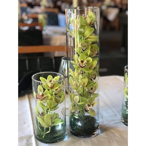 WGVI Quality Thick Weighted Tall Clear Cylinder Glass Vases, 4" W x 16" H, Flower Arrangement Floating Candle Holders Wedding Centerpieces Event Floral Container Accent Home Decor, 1 Piece - size: 4"x16"H