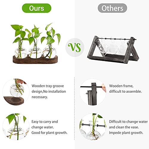 Mkono Desktop Plant Propagation Station Glass Planter Terrarium with Wooden Tray and Artificial Succulent in 3 Pack Mini Glass Geometric Terrarium