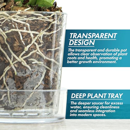 Phoenix Vine 3.5 Inch Clear Acrylic Planter Pot with Tray, Orchid Pot with Drainage Holes, Deep Saucer for Bottom Watering, Transparent Containers for Indoor Plants, Herbs, Set of 1, 91-A-D-1 - size: 3.5 Inch
