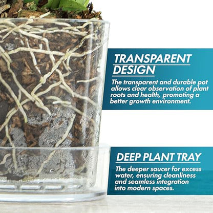 Phoenix Vine 3.5 Inch Clear Acrylic Planter Pot with Tray, Orchid Pot with Drainage Holes, Deep Saucer for Bottom Watering, Transparent Containers for Indoor Plants, Herbs, Set of 1, 91-A-D-1 - size: 3.5 Inch