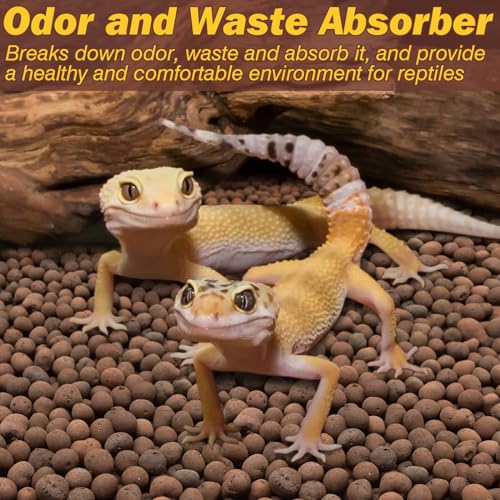 ZeeDix 6 LBS Leca Clay Balls for Reptile & Terrarium Substrate - color: 6LBS