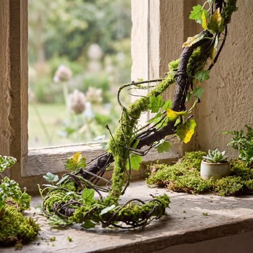 Janinka 55in Large Bendable Artificial Tree Branches with 43in Moss Vine | 2 Pcs Enchanted Decorations DIY Jungle Climber Vines Fake Moss Jungle Forest Party Decor for Garden Landscape Reptile Habitat