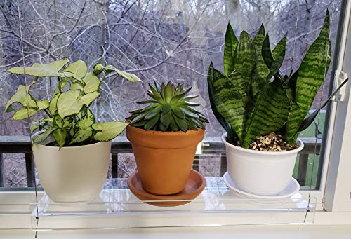 Hanging Acrylic Shelves for Windows (28" Wide, 3 Shelves - 46" Tall) - size: 3 Shelves - 46" Tall, style: 28 Inches Wide