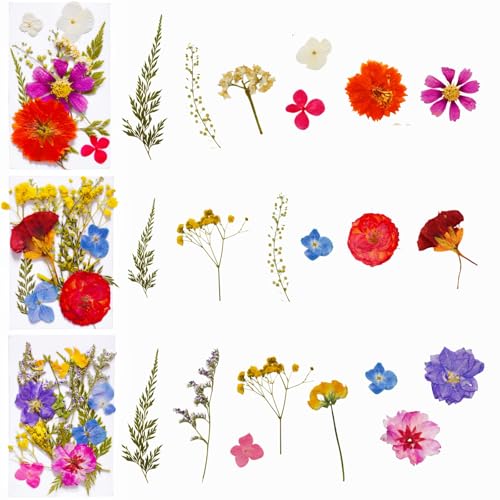 112Pcs Pressed Dried Flower Head for Crafts, Natural Real Mini Flowers Flowers for Crafts, Bulk Flowers for Resin Molds, Candles, DIY Art Jewelry Making with Tweezers Butterfly Stickers Set Decorate