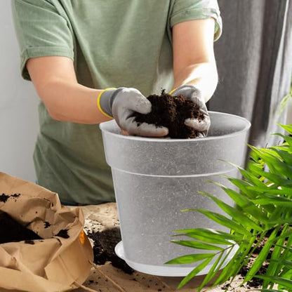 3 Pack Clear Nursery Pot,8 Inches,9.25 Inches,9.6 Inch | Drainage Hole, Large, Variety, Clear Plant Pots with Trays, Indoor Outdoor, Vegetable Propagation, Seed Starting - size: 8 Inches, 9.25 Inches, 9.65 Inches