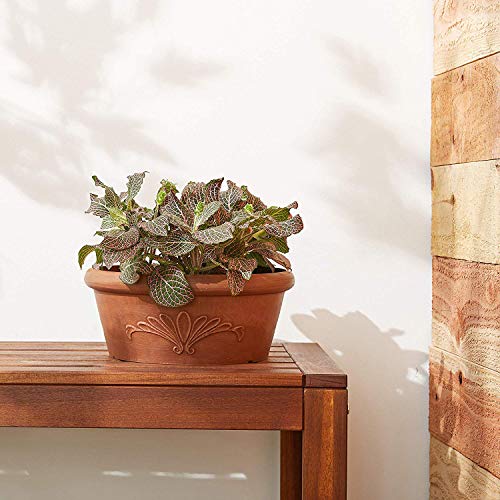 Arcadia Garden Products PSW TA20TC Plastic/Stone/Wood Composite Bulb Pan – No Drainage Hole (Drillable), 8"x3", Terra Cotta Color - color: Terra Cotta, size: 8"x3"