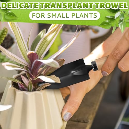 3 Pcs Mini Garden Tools, Shovel, Rake, Wooden Handles, Steel Heads | Small Gardening Tools Set, Tiny Trowel for Transplanting, Repotting and Planting, for Indoor Plants, Succulents and Bonsai - color: Black Set of 3