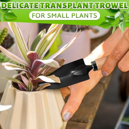 3 Pcs Mini Garden Tools, Shovel, Rake, Wooden Handles, Steel Heads | Small Gardening Tools Set, Tiny Trowel for Transplanting, Repotting and Planting, for Indoor Plants, Succulents and Bonsai - color: Black Set of 3