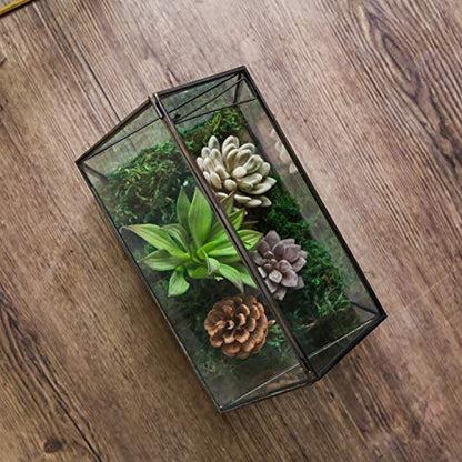 House Shape Close Glass Geometric Terrarium Tabletop Succulent Plant House Garden Planter Moss Fern Swing Lid, Flower Pot for Plants Succulent, Air Plant (Black)
