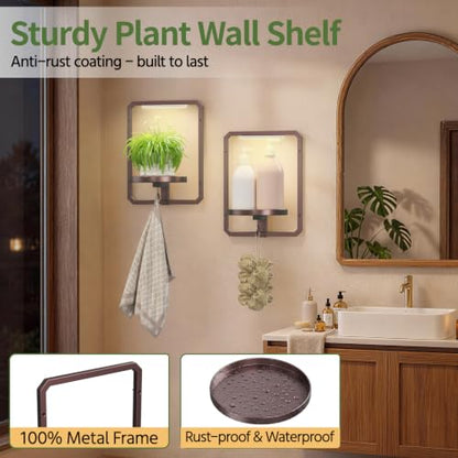 LASZOLA Plant Picture Frame Holder Shelf Wall with Lights, 2 Pcs Brown - color: Brown with Light, size: 2