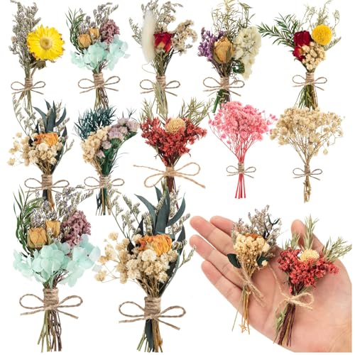 10 Pcs Dried Flowers for Crafts, Mini Dried Flowers Bouquet Bulk for Vase DIY Photo Bridesmaid Gift Birthday Decor