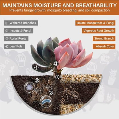 NUPICK 1-3mm Coarse Sand for Plants, 20lb Aquarium Sand for Terrarium