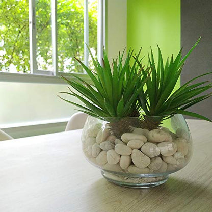 Southwest Boulder & Stone Porcelain White Pebbles | 20 lbs | Natural Rocks, White Stones for Potted Plants, Gardening, Succulents, Aquariums, Terrariums, and More (3/8 Inch - 5/8 Inch) - size: 3/8 Inch - 5/8 Inch