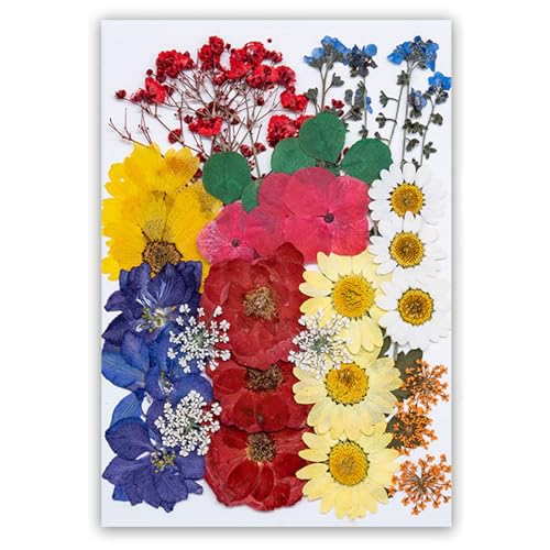35Pcs Dried Pressed Flowers Leaves for Crafts Art Resin DIY Natural Dry Daisy Epoxy Jewelry Real Rose Flower Decor Cakes Phone Cases Bookmarks Candles Handmade Soap - color: Red Mix