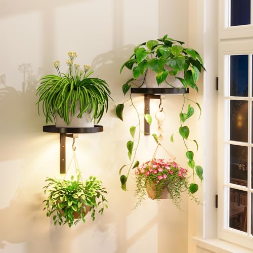 iDavosic.ly Plant Wall Hanger with Grow Lights Set of 2 for Indoor, Black - color: Black with 2 Lights, size: 2 Pack