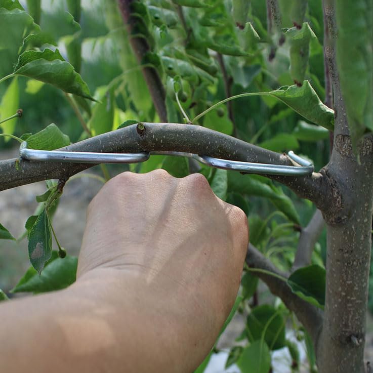 7.1inch Fruit Tree Branch Spreader, 15PCS Tree Limb Spreader, Plant Branch Training Modelling Tool, Fruit Tree Limb Puller, Branch Bending Tool to Improve Yield, Twigs Pull Lower Tool