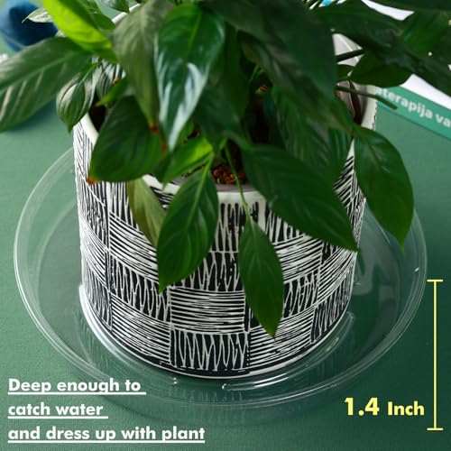 Plant Saucer 30 Pack Plant Trays for Pots 4/6/8/10/12 Inch Plastic Plant Saucers for Outdoors & Indoors Clear Drip Trays for Potted Plants Flower Pot Plates to Catch Water Drainage Dishes No Holes - size: 4/6/8/10/12 Inch - 30 Pack