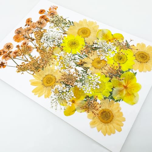 Cayway 33 PCS Dried Pressed Flowers for Resin, Real Pressed Flowers Dry Leaves Kit Natural Dried Pressed Leaves for Art Crafts Resin Scrapbook Supplies Soap Candle DIY, Yellow - color: Yellow-orange-33