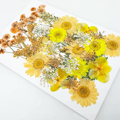 Cayway 33 PCS Dried Pressed Flowers for Resin, Real Pressed Flowers Dry Leaves Kit Natural Dried Pressed Leaves for Art Crafts Resin Scrapbook Supplies Soap Candle DIY, Yellow - color: Yellow-orange-33
