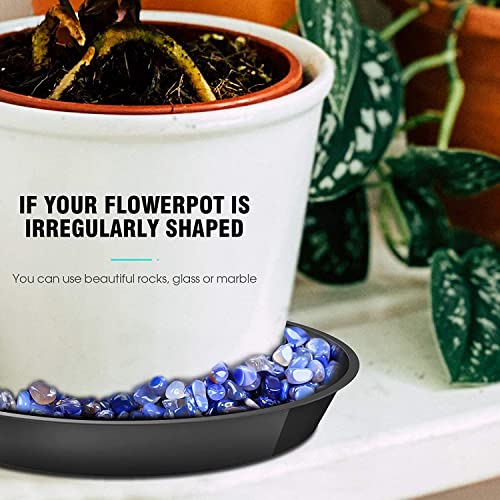 6 Pack Plant Saucer 12 14 16 18 20 22 Inch Plastic Plant Tray, Sturdy and Durable Flower Pot Container Accessories Plant Pot Saucers for Indoor and Outdoor (22 Inch, Black) - size: 22 Inch