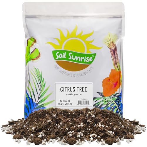 Soil Sunrise Citrus Tree Potting Soil Mix (12 Quarts) Special Blend for Indoor Oranges, Lemons, Limes and More - size: 12 Quarts