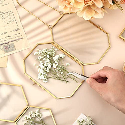 Lasnten 200 Pcs Mini Dried Babys Breath Pressed White Flowers Bulk