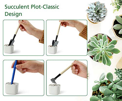 G GOOD GAIN Garden Succulent Kit with Organizer Bag,15 Pieces, Green - style: Green