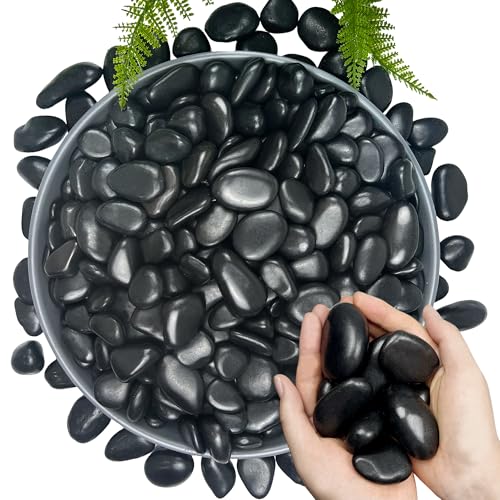 5 LB Black River Rocks 1–2 Inch for Planters, Landscaping & Aquariums - color: Black, size: 5 Pounds