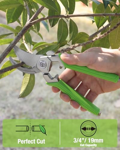 WORKPRO 8.5" Bypass Pruning Shears, Professional Forged Garden Shears | Forged Stainless Steel Blades, 3/4" Cut Capacity, Spring-Loaded, Safety Lock, Hand Pruner for Trimming, Bonsai, Flowers