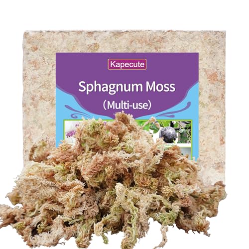 Sphagnum Moss 34QT for Plant Propagation, Great Orchid Potting Mix, Help with Maintain Humidity, 10oz - size: 10 oz