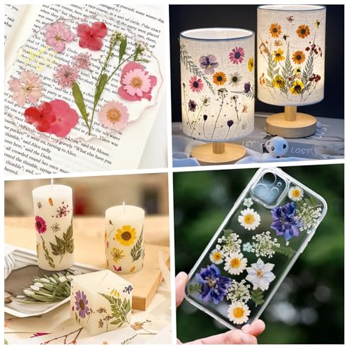 112Pcs Pressed Dried Flower Head for Crafts, Natural Real Mini Flowers Flowers for Crafts, Bulk Flowers for Resin Molds, Candles, DIY Art Jewelry Making with Tweezers Butterfly Stickers Set Decorate