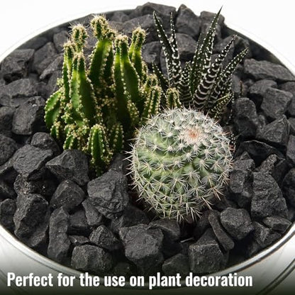 NUPICK 10 Pound Black Gravel for Fish Tank, 0.5-0.7" Black Aquarium Gravel - color: Black, size: 0.5-0.7"-10lb