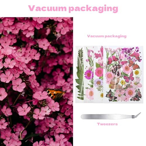 Dried Flowers for Resin 116Pcs Pink Real Natural Pressed Flowers | with 10 Butterfly Stickers, Dried Leaves kit for Scrapbook Supplies Card Making Resin - size: 116 pcs Pink Dried Flowers with Butterfly Stickers