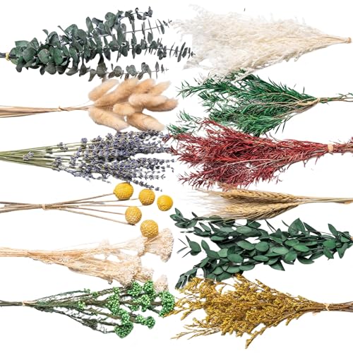 12kinds Natural Dried Flowers DIY kit ,10~12inch,Handpicked Including Lavender/Eucalyptus/Wheat,for Home Office Wedding Decor, Low-Maintenance