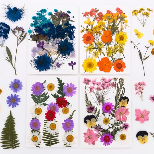 Natural Pressed Flower Set for DIY Projects – Assorted Dried Flowers & Foliage with Tweezers for Resin Crafts, Scrapbooking, Nail Art, and Decorative Purposes