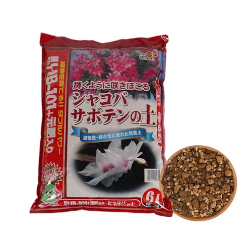 Japanese Cactus, Succulent & Aloe Vera Potting Soil Mix - 6L Peat-Free - size: Cactus Succulent Aloe Vera(Flowering)