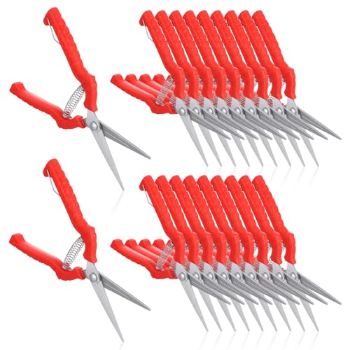 20 Pcs Pruning Shears Bud Trimming Scissors Bulk 8 Inch Pruning Shears Garden Scissors for Precise Cut Bonsai Gardening Hand Pruner with Straight Stainless Steel Blade Pruning Snip for Flower Plant, R