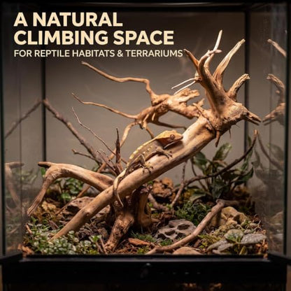 Tustao Aquarium Driftwood Branches Natural Wood Reptiles Trunk Wood Fish Tank Decoration Plant Stump Ornament Landscaping, Fish Tank Decoration, 8-10cm