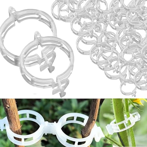 50 Pcs Heavy-Duty Plant Support Clips – Durable Plastic Trellis Clips for Tomatoes, Grapes, Vegetables, and Climbing Plants – Garden Vine Clips for Upright Growth and Healthier Plants (White)