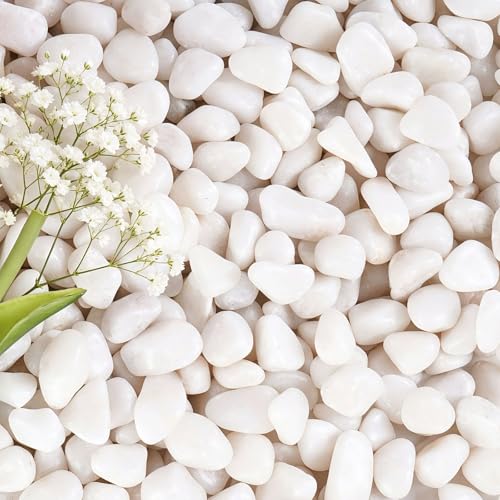 5 lbs White Gravel, 1/2 Inch Tiny Pebbles of Rocks | Decorative Rocks for Potted Plants,Suitable for Vases, Cactus Potted Plants, Fish Tanks - color: White, size: 1/2 Inch 5 LB