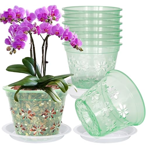 Orchid Pot, 8 Pack Orchid Pots with Holes & Saucers, Clear Plastic Pot for Repotting, Breathable Ventilation Planters for Phalaenopsis, Dendrobium & Oncidium Orchids(7 inch, Green) - color: Green, size: 7'' 8pack