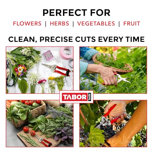 TABOR TOOLS K17A Pruning Snips – 7.5" – Stainless Steel Flower Pruning Scissors for Gardening | Floral Snips and Pruners for Deadheading, Trimming & Harvesting Herbs, Flowers, Fruits or Vegetables - style: K17A Florist Scissors