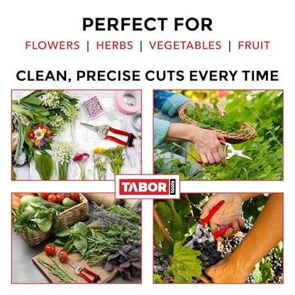 TABOR TOOLS K17A Pruning Snips – 7.5" – Stainless Steel Flower Pruning Scissors for Gardening | Floral Snips and Pruners for Deadheading, Trimming & Harvesting Herbs, Flowers, Fruits or Vegetables - style: K17A Florist Scissors